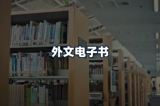 外文电子书